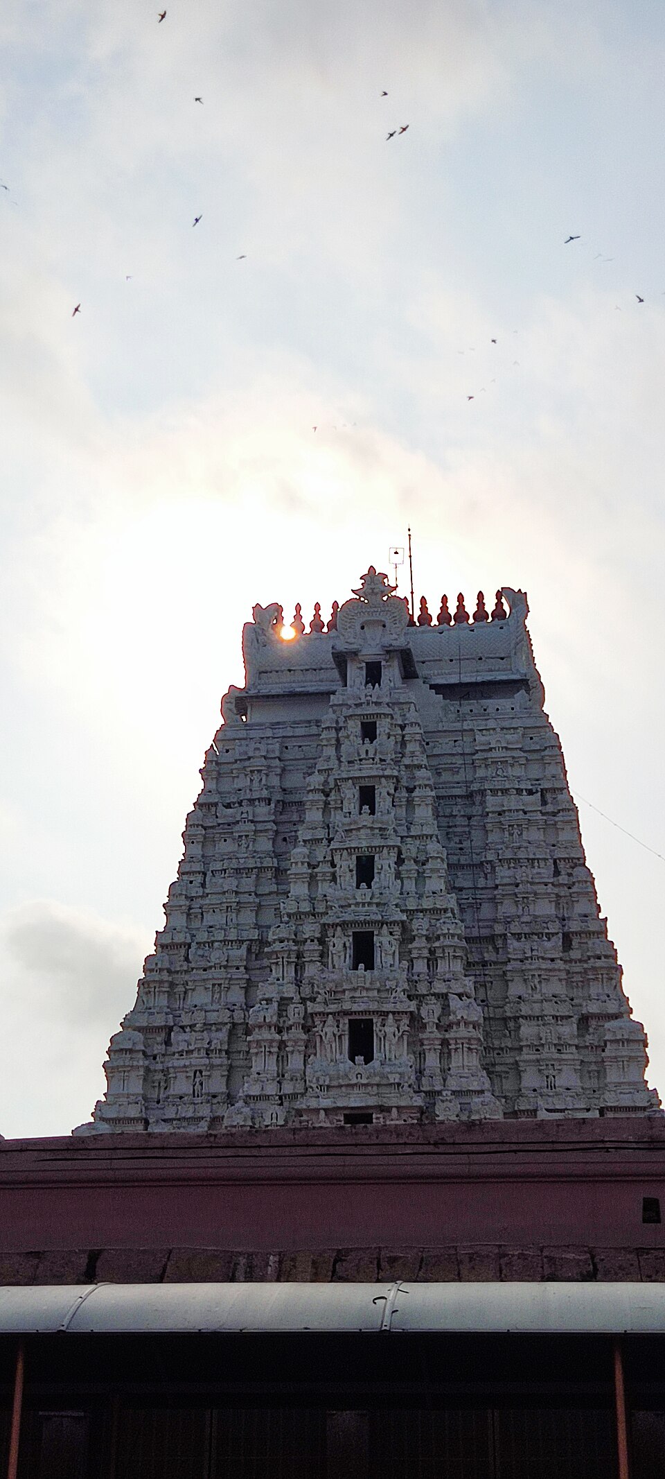 Ranganathaswamy Temple — Complete Darshan Guide, History and Significance