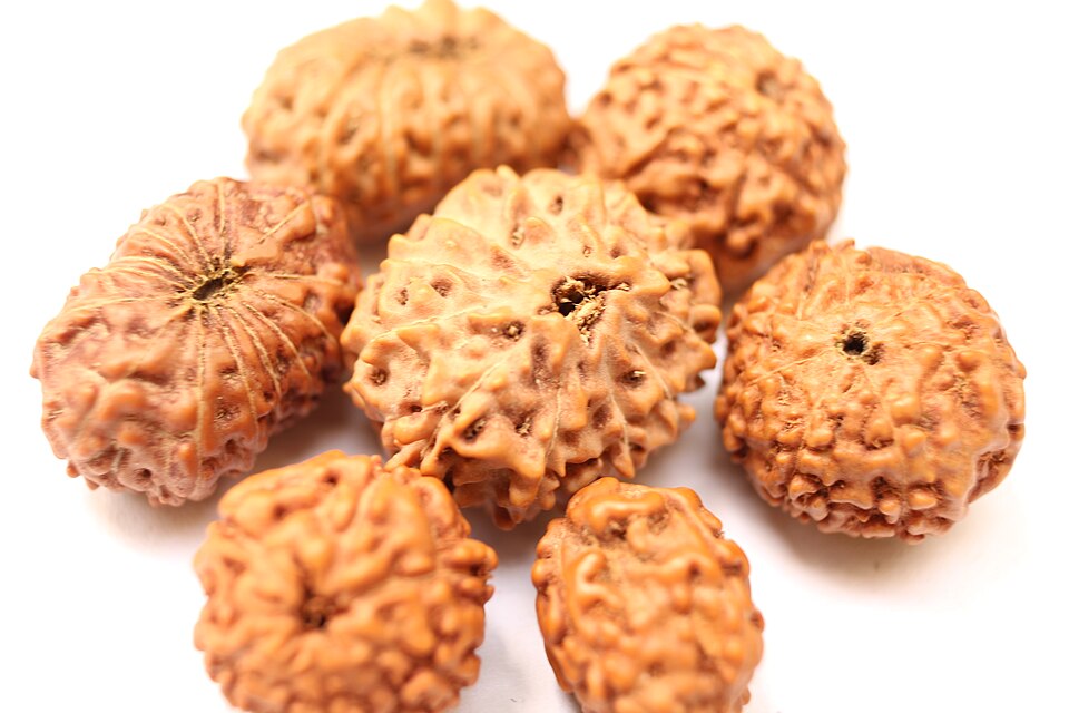 Significance of Rudraksha — Types and Benefits
