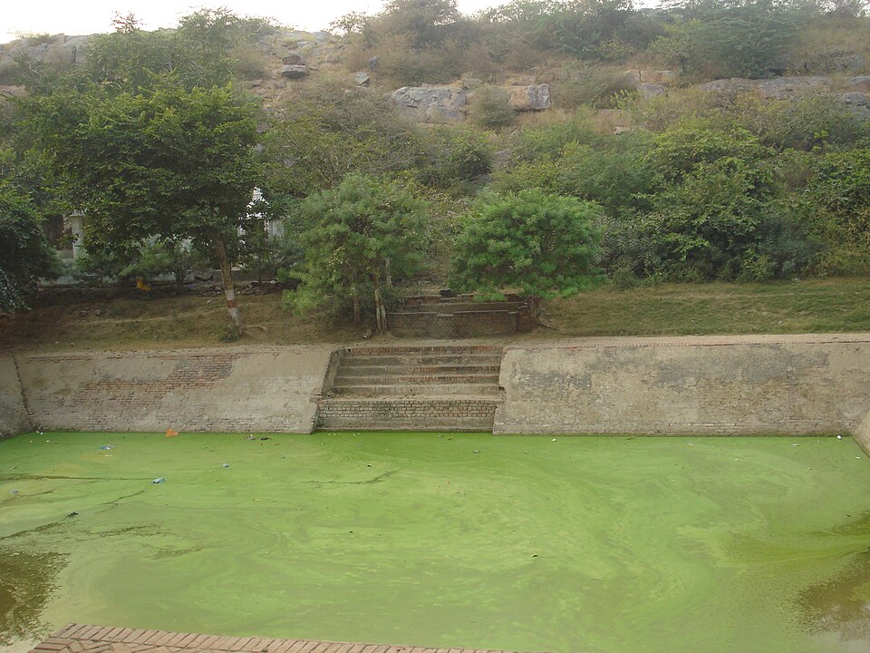 Govardhan Hill Parikrama: A Comprehensive Guide to the 21 km Sacred Circuit