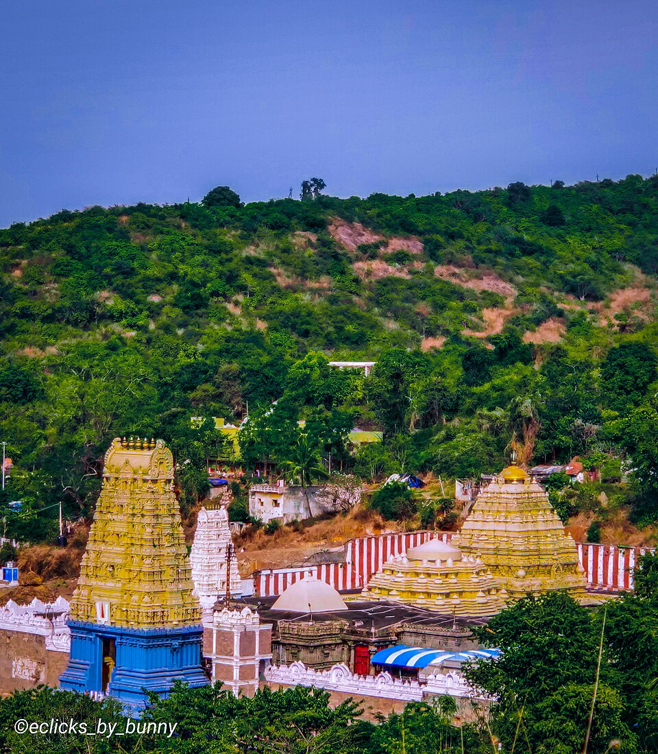 Simhachalam Varaha Narasimha Temple: A Divine Journey through History and Darshan
