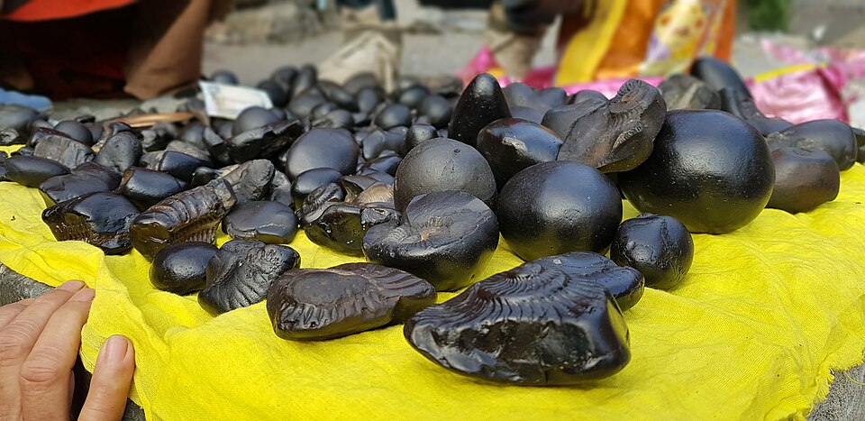 Shaligram — Sacred Stone of Lord Vishnu: Complete Guide to Worship, Significance, and Rituals